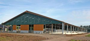estábulo para bezerros 1