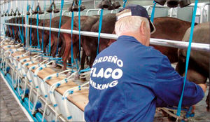 sala de ordenha para cabras 1