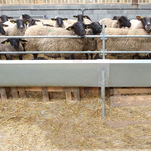 tremonha de alimentação para cabras