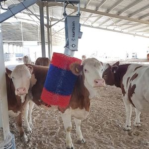 escova para pecuária