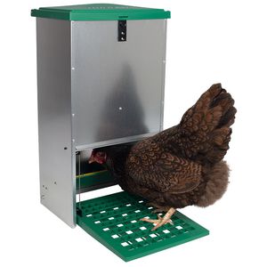 tremonha de alimentação para aves 1