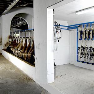 sala de ordenha para vacas