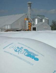 silo-bolsa