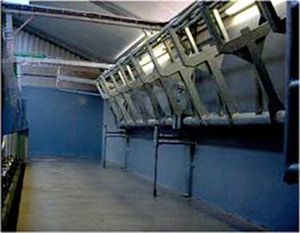 sala de ordenha para vacas