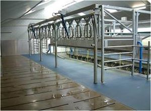 sala de ordenha para vacas