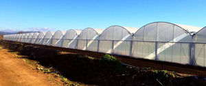 estufa multicapela / para produção comercial / em plástico / em PVC