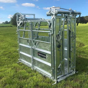 tronco de contenção para vacas