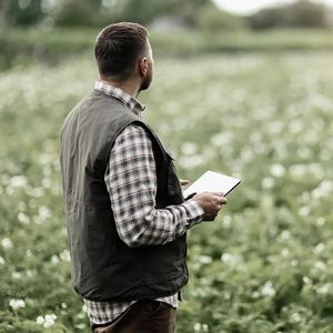software de gestão de dados