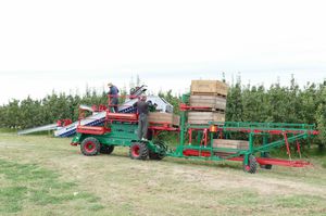 colheitadeira para frutas