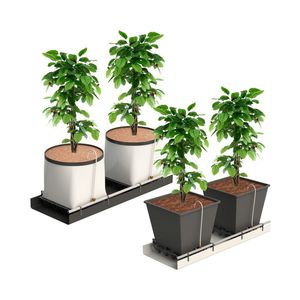 sistema de cultivo hidropônico pequeno