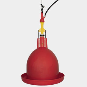 bebedouro para aves