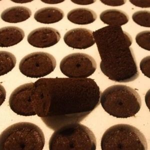 substrato de cultivo terra vegetal