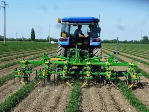 cultivador rotativo para tomates