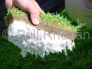 substrato de cultivo perlita