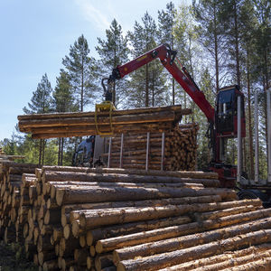 grua florestal montada em carreta