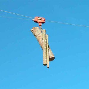 carro-trole florestal 1