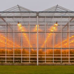 estufa em vidro