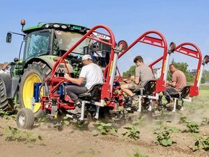 cultivador rotativo montado em trator