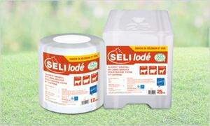 suplementação em bloco para bovinos