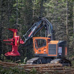 feller buncher de esteiras