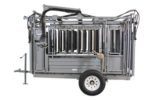 tronco de contenção para vacas