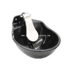 bebedouro para bovinos