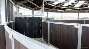 andador de cavalos com cerca 1