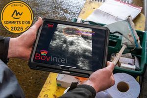 ecógrafo veterinário de bolso