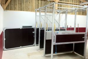 tronco de contenção de cavalo
