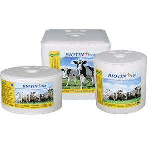suplementação em bloco para bovinos