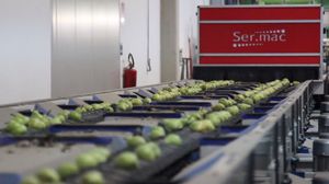 classificadora para frutas 1
