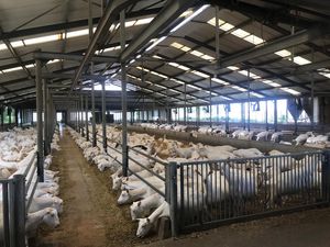 sistema de ventilação para galpão agrícola