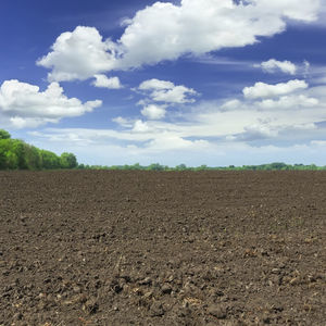 substrato de cultivo em saco