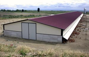 estábulo para avicultura 1