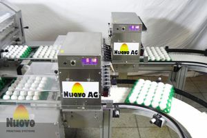 máquina de marcação de ovos automática