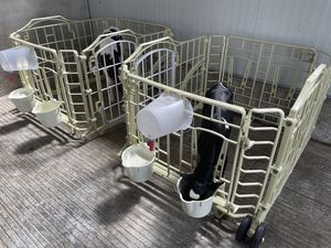 abrigo para pecuária 1