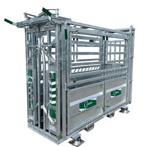 tronco de contenção para vacas