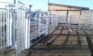 tronco de contenção para seleção 1