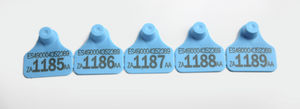 brinco de identificação para ovinos