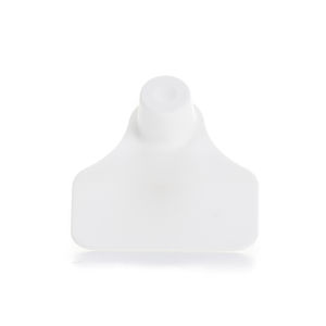 brinco de identificação para ovinos 1