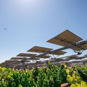 estrutura agrivoltaica para culturas agrícolas