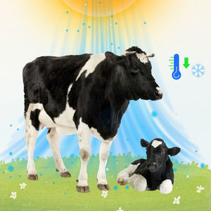 suplemento para animais