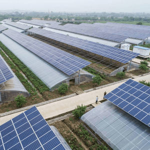 estrutura agrivoltaica para culturas agrícolas