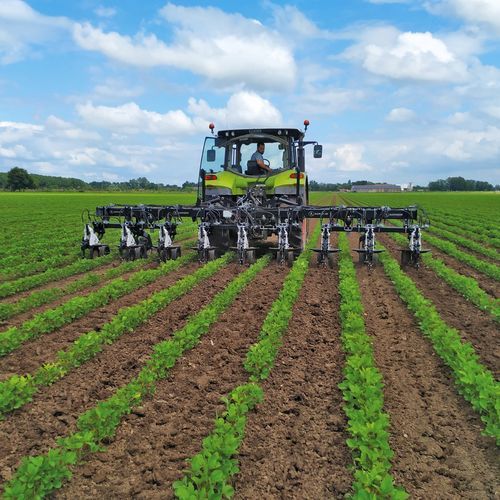 Cultivador rotativo montado - SCALP - AGRISEM International - capinador / para legumes / com câmera