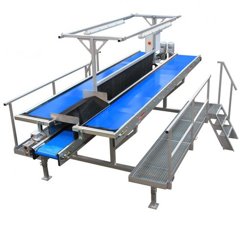 Classificadora para hortaliças - IB 500-50+ - Allround Vegetable Processing B.V. - de inspeção visual