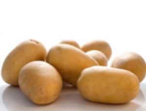 Semente de batata superprecoce - Albertine - EUROPLANT Pflanzenzucht GmbH - para consumo / média / resistente à sarna-comum