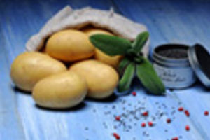 Semente de batata semiprecoce - Annalena - EUROPLANT Pflanzenzucht GmbH - para consumo / longa / resistente à sarna-comum