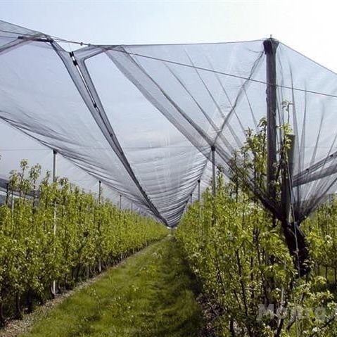 Tela de proteção - FILPA AMBALAJ ve dis Tic. A.S. - em polipropileno / em PEAD / para horticultura