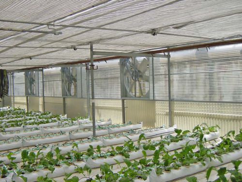 Ventilador para estufa - Eolo Series - Idromeccanica Lucchini S.p.A. - de circulação de ar