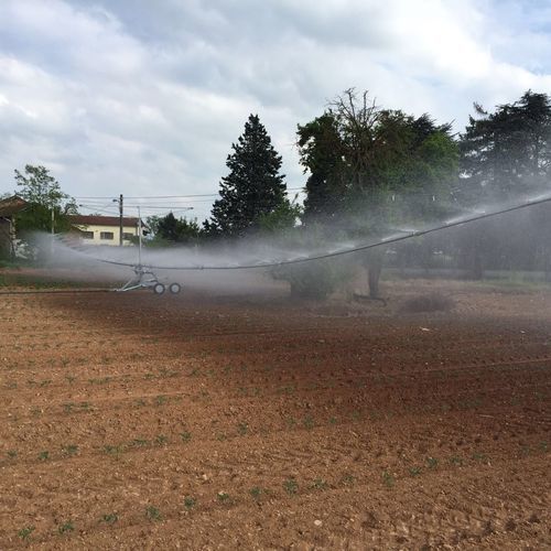 Barra de irrigação para estufa - HERON - IRRILAND Srl - alimentado por mangueira / móvel / com rodas